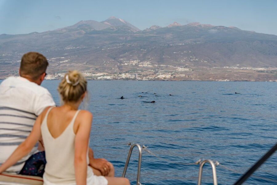 Puerto Colon: Whale and Dolphin Watching Yacht Trip - Should You Book the Puerto Colón Whale and Dolphin Yacht Trip?