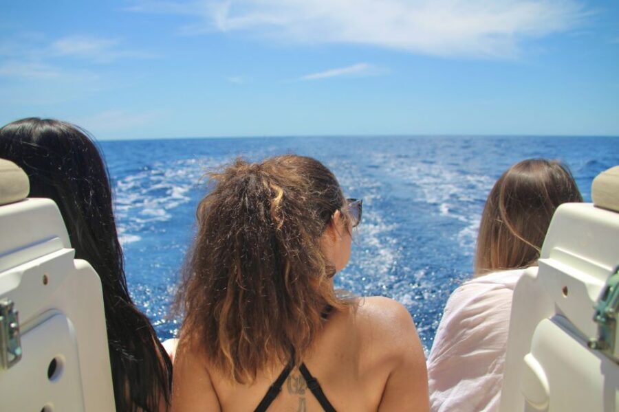 Puerto Colon : Whale & Dolphins Sailing Excursion - The Real Logistics: Duration, Small Group, and Seasickness Prep