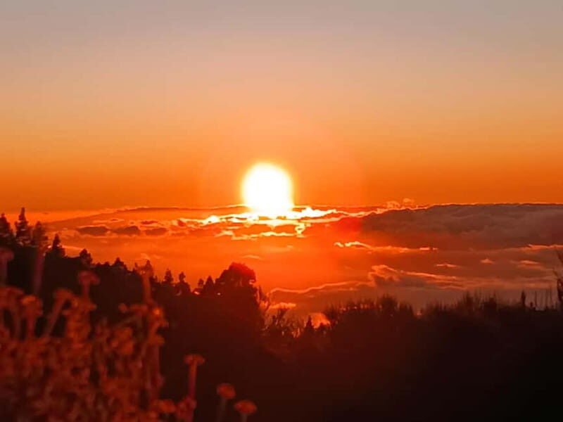Puerto Cruz: VIP Teide Sunset & Stars, Guachiche Lunch+Cava - Mount Teide stargazing in Teide National Park: constellations when the sky behaves
