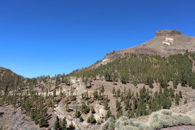 Quad Tour to the Teide National Park (3.5H) - Meeting point in Arona and how the ride logistics work