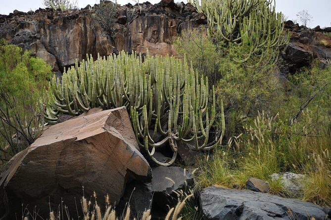 Rock climbing in natural space. - Small-group attention: why max 4 is more than a number