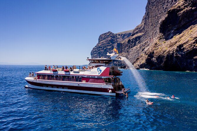 Royal Dolphin Whale watching excursion - Price check: how $35.74 can be good value