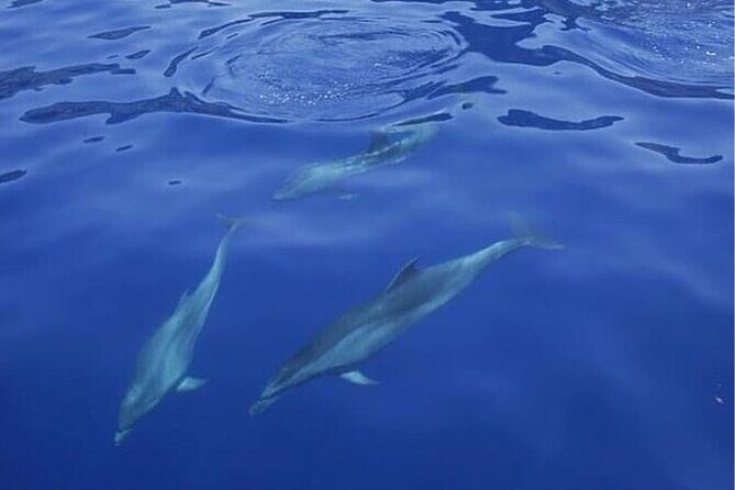 Sailing Yacht on a Private Charter - Snorkeling and Swimming Without the Fuss (When Weather Allows)