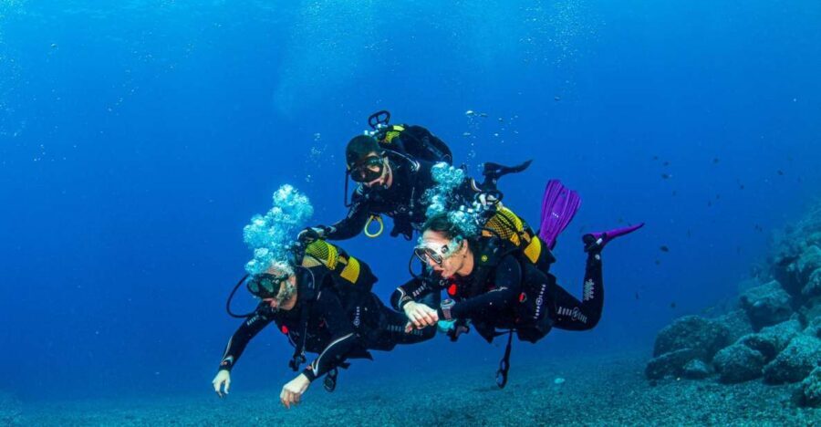 Santa Cruz de Tenerife: Advanced introductory course - Why Santa Cruz de Tenerife’s SSI Basic Diver feels like a real step up