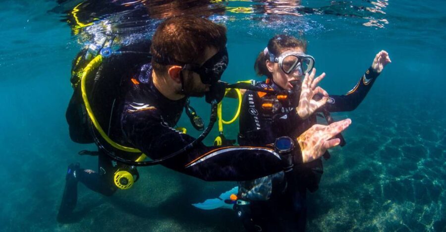 Santa Cruz de Tenerife: Beginner's Diving & Introduction - First Underwater Breath: What This Beginner Scuba Trial Really Feels Like