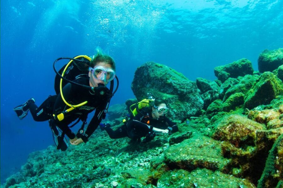 Santa Cruz de Tenerife: Beginner's Diving & Introduction - Price and Value: Is $89 a Good Deal for a 3-Hour Starter Session?