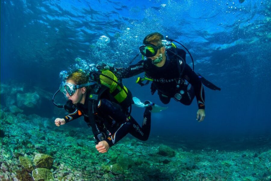 Santa Cruz de Tenerife: Beginner's Diving & Introduction - What You Learn Before You Go Down: Equipment Basics That Actually Matter