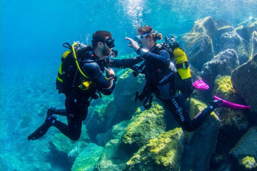 Santa Cruz de Tenerife: Beginner's Diving & Introduction - Included Extras That Make the Day Feel Finished