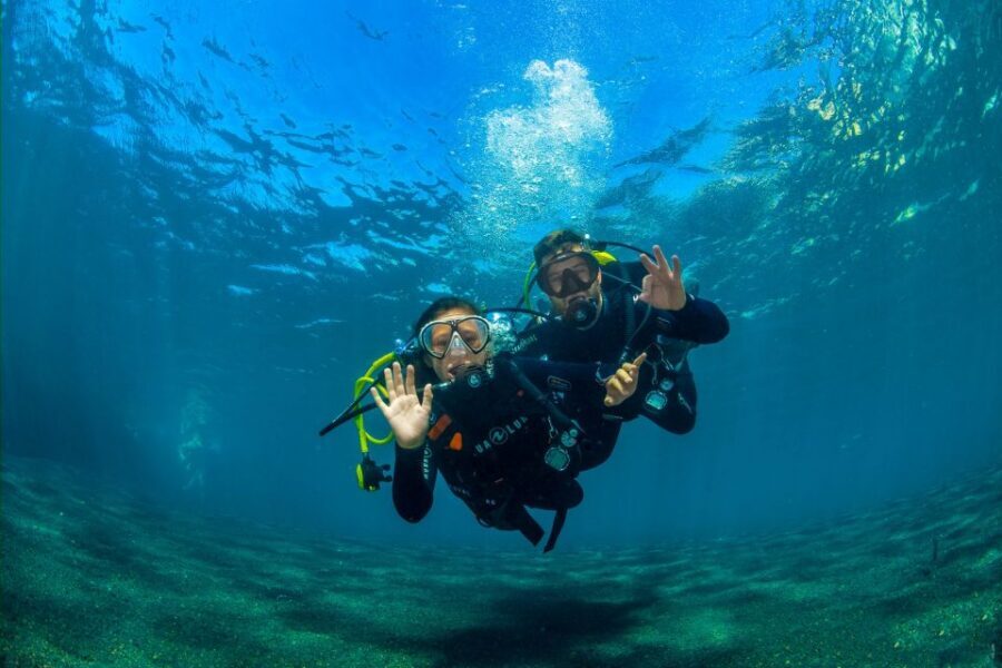 Santa Cruz de Tenerife: Beginner's Diving & Introduction - Practical Tips to Get the Most From Your First Day Underwater