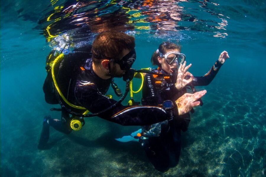 Santa Cruz de Tenerife: Beginner's Diving & Introduction - The 3-Hour Flow: From Gear Fitting to a 30–45 Minute Underwater Swim