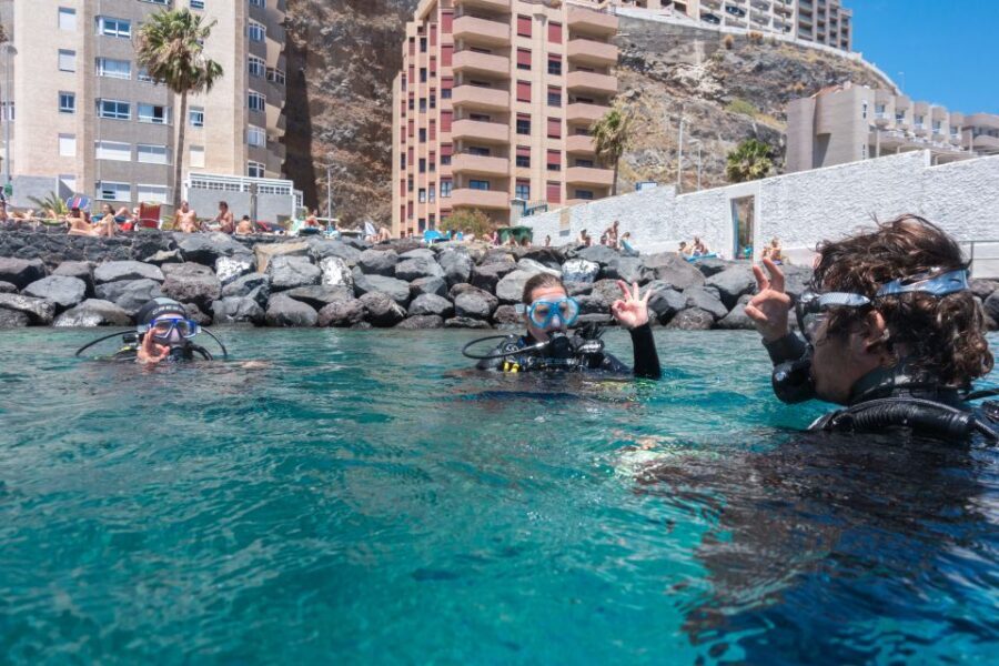 Santa Cruz de Tenerife: PADI Introductory Dive - Key highlights at a glance