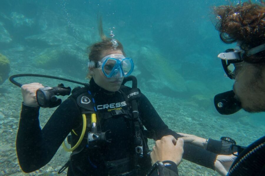 Santa Cruz de Tenerife: PADI Introductory Dive - Gear setup and the four skills you practice underwater