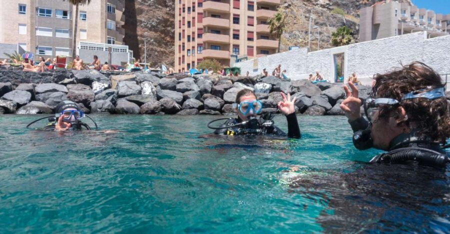 Santa Cruz de Tenerife: PADI Introductory Dive - Scubanana in Radazul: where you start and how to prep