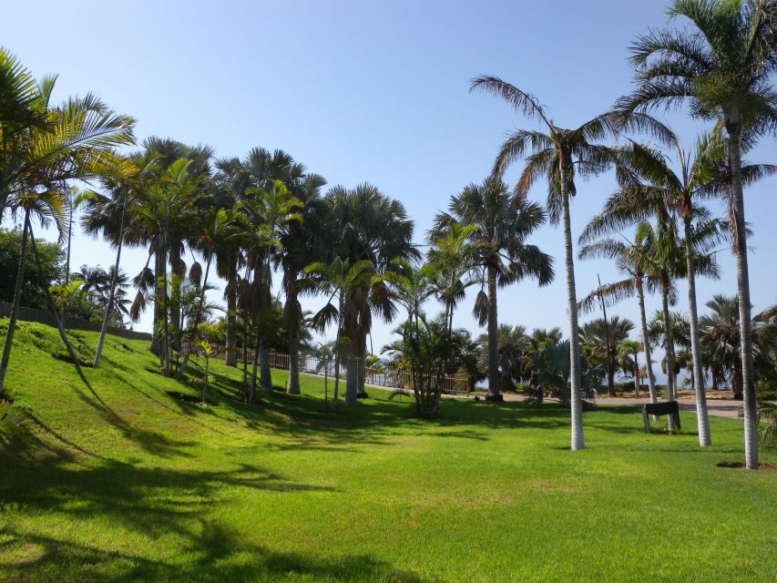 Santa Cruz de Tenerife Palmetum Entry Ticket - Key highlights you’ll actually care about