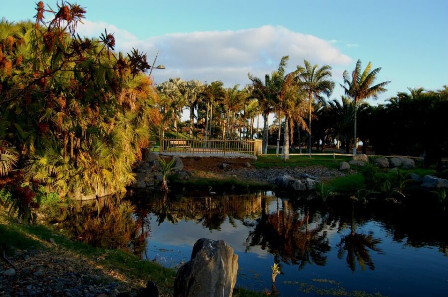 Santa Cruz de Tenerife Palmetum Entry Ticket - Island territories: how the layout helps you understand what you’re seeing