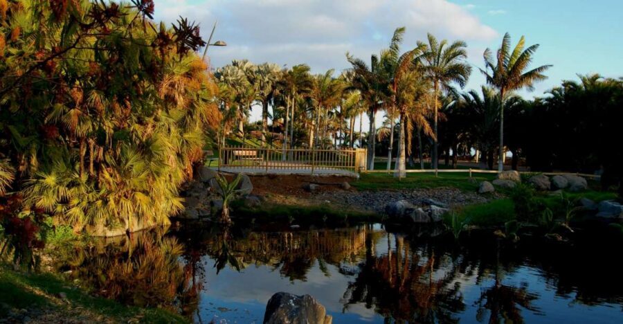 Santa Cruz de Tenerife Palmetum Entry Ticket - The palm collection: the main reason to go