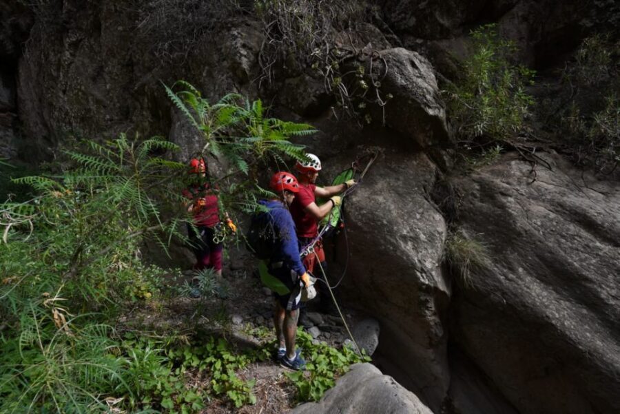 Santa Cruz de Tenerife: Vilaflor Canyoning Tour - Should you book Vilaflor canyoning?