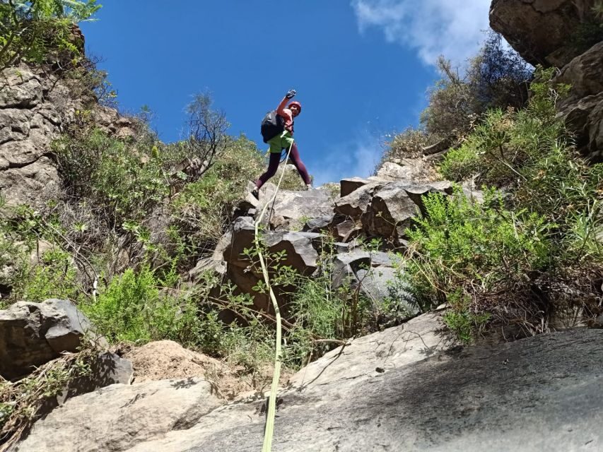 Santa Cruz de Tenerife: Vilaflor Canyoning Tour - Price and value: why $77 can make sense here