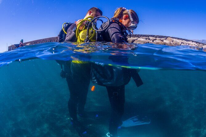 Scuba Diving Baptism Experience in Santa Cruz Tenerife - The 3-Hour Flow: Arrival, 30–45 Minutes Underwater, Then Photos