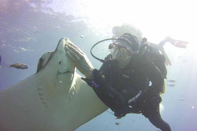 Scuba Diving Beginner's Session in Costa Adeje - South Tenerife Makes This Beginner Scuba Try Feel Easy