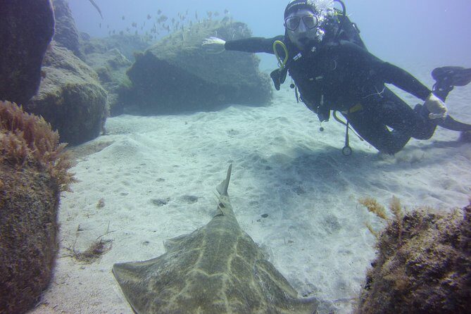 Scuba Diving Beginner's Session in Costa Adeje - Price and Value: Is $114.93 Reasonable?