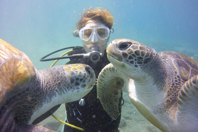 Scuba Diving Beginner's Session in Costa Adeje - What You Do in the First Phase: Gear Up and Learn the Safety Basics