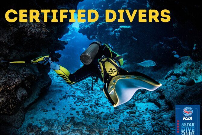 Scuba Diving for Certified Divers in Costa Adeje - The speedboat ride and how they pick the right water