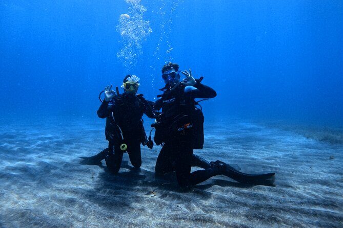 Scuba Experience in Tenerife with Guide - 8:30 Start in Arona: what your Try Scuba morning actually looks like