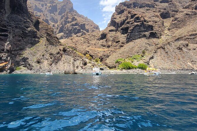 SEA SAFARI Dolphins, Whales, 3h speedboat DISCOVERY-TOUR - The 3-Hour Speedboat Plan From Puerto Colón