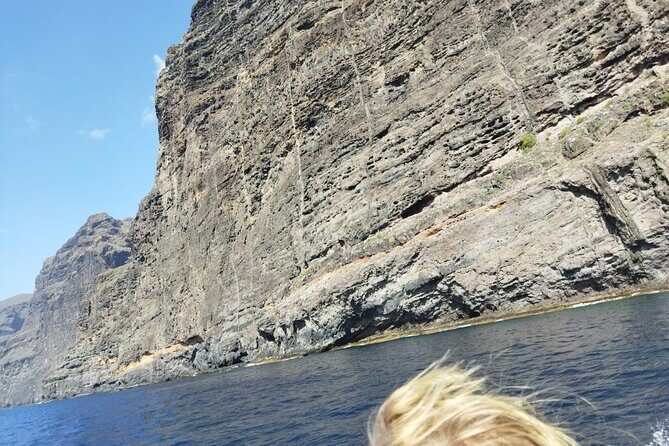 SEA SAFARI Dolphins, Whales, 3h speedboat DISCOVERY-TOUR - Drinks, Sandwiches, and the Little Comfort Wins