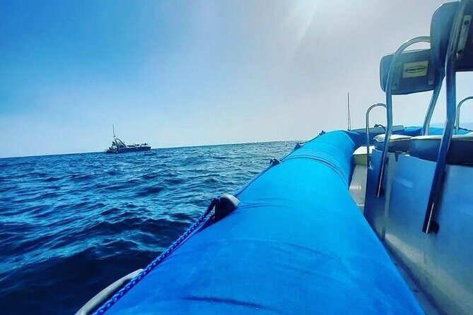 SEA SAFARI Dolphins,Whales, snorkeling, snack, drink, 3h private - The ride experience: fast, close, and fun when it’s timed right