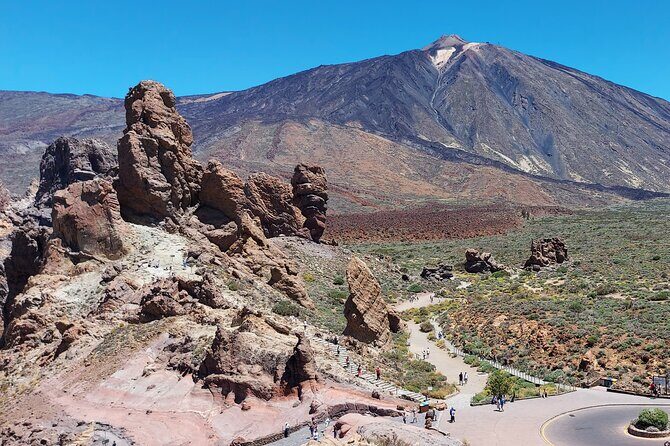Small Group Teide National Park Volcanic and Forest Wonders - El Pino Gordo and Mirador de Vilaflor: photos with pine-scented air