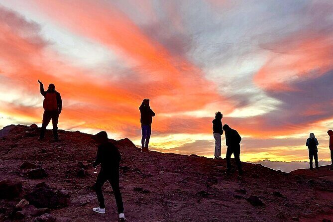 Small Group Teide National Park Volcanic and Forest Wonders - Vilaflor at 1,500 meters: pine air and a calm start