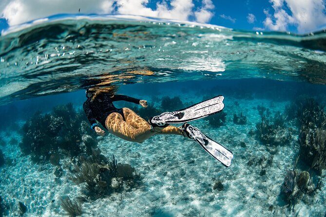 Snorkel Rental 24h, discover Tenerifes Ocean on your own! - Key things I’d plan around