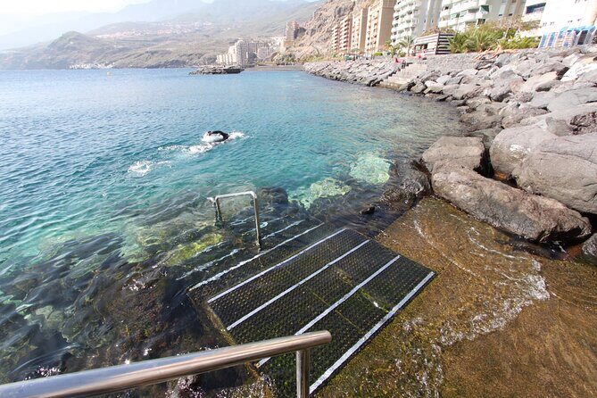 Snorkel Rental 24h, discover Tenerifes Ocean on your own! - Why the Bay of Radazul Works for First-Time Snorkelers