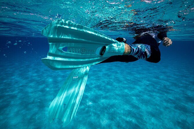 Snorkel Rental 24h, discover Tenerifes Ocean on your own! - Timing Your 24 Hours: How to Get More Fun Out of Less Planning
