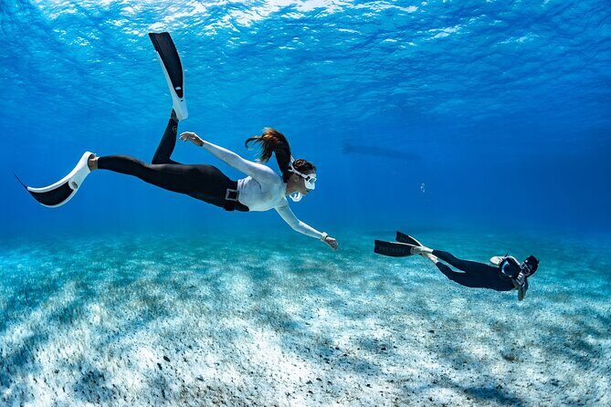 Snorkel Rental 24h, discover Tenerifes Ocean on your own! - Price and Value: Is $22.64 Worth It?