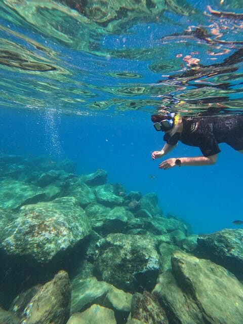 Snorkeling Boat Trip in Marine Turtles Natural Habitat - The speedboat run to the snorkeling spot: views and timing that make sense