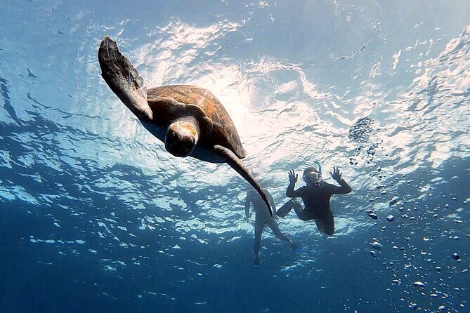 Snorkeling excursion in the Rayas and Turtles Zone - Key takeaways before you go