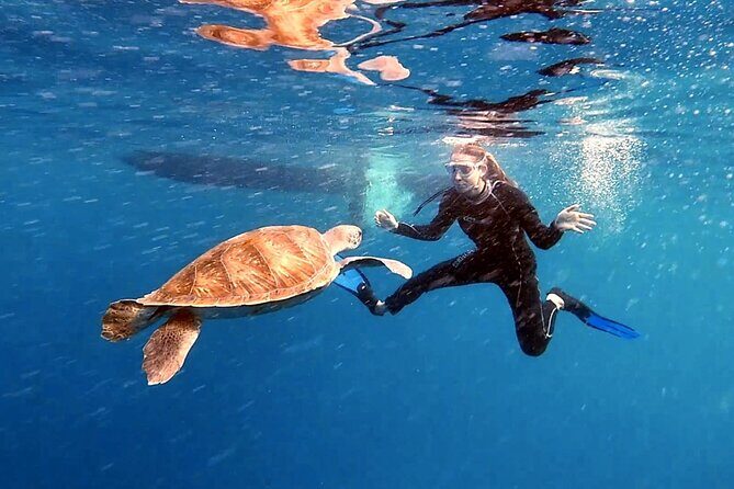 Snorkeling excursion in the Rayas and Turtles Zone - Rayas and Turtles Zone: the underwater mission you’re signing up for
