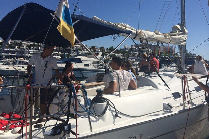 South Coast Tenerife Cruise - The South Coast Sail: Wildlife Watching Done Properly