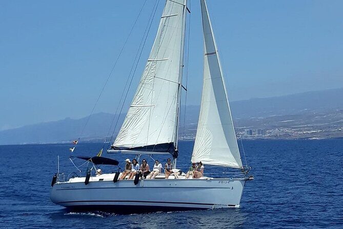 South Coast Tenerife Cruise - Group Size of 11: Why It Feels More Relaxed