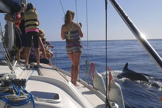 South Coast Tenerife Cruise - Private Charter Option: More Time, Different Places, Paella Included