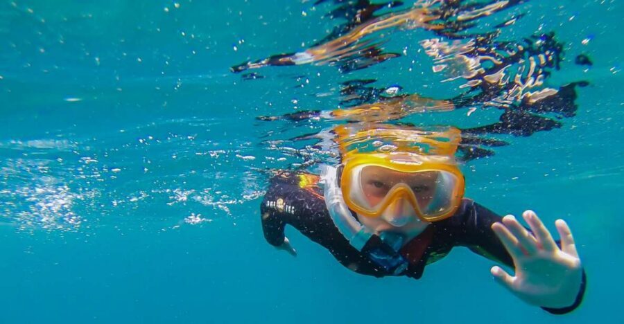 South Tenerife: Guided Snorkeling - Key highlights you’ll actually care about