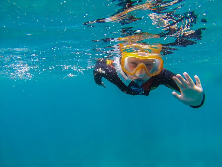 South Tenerife: Guided Snorkeling - The briefing that sets you up for real sightings