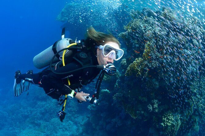 SSI Open Water Diver Course in Tenerife - Price and what $629.71 buys you (and what it doesn’t)