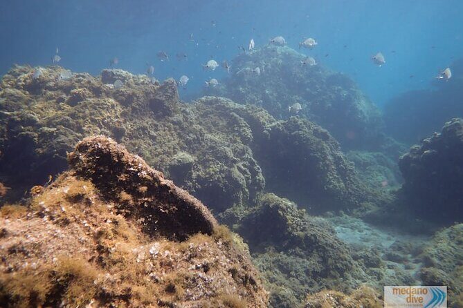 SSI Open Water, South Tenerife - Value check: what the $600.85 price includes (and why it adds up)
