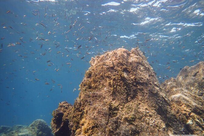 SSI Open Water, South Tenerife - Group size and who this course suits best