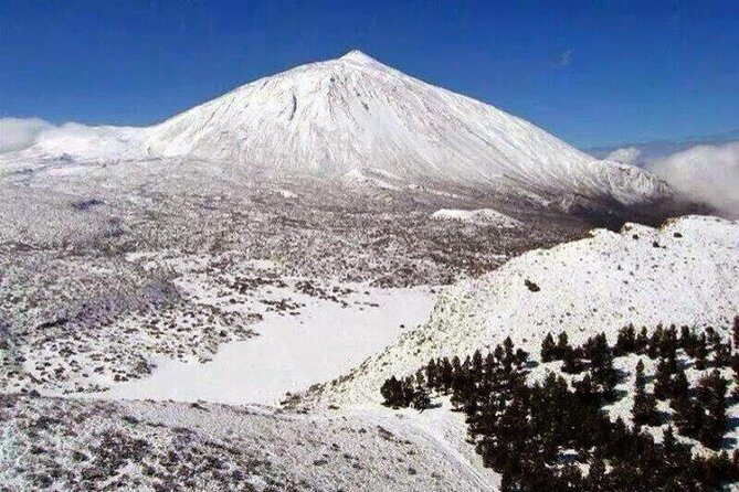 Teide 1/2 Day - Private, Air-Conditioned Ride: The Comfort Value You Actually Feel