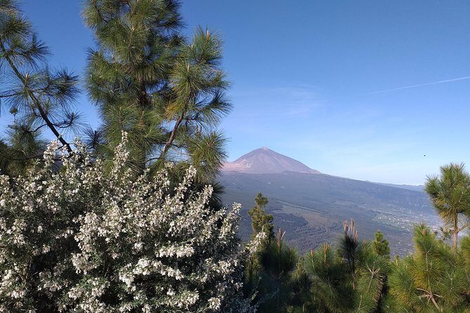 Teide essential Shore Excursion VIP TOUR - Entering Tenerife’s story: La Laguna first, not last